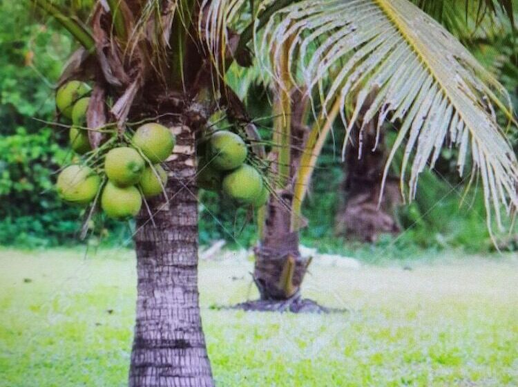 Paradise Creek Cottages