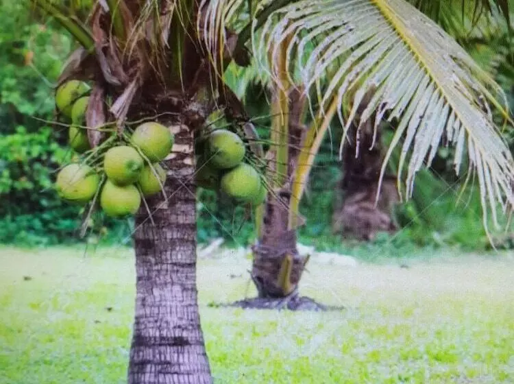 Paradise Creek Cottages