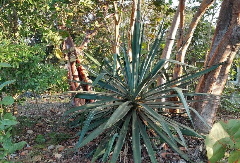 Paradise Creek Cottages
