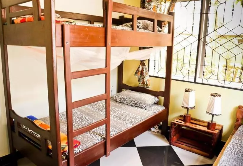 ユースホステル Rafiki Backpackers & Guesthouse