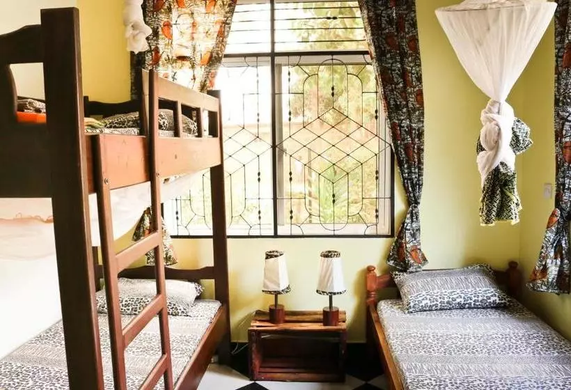 ユースホステル Rafiki Backpackers & Guesthouse