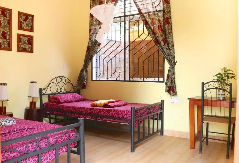 ユースホステル Rafiki Backpackers & Guesthouse