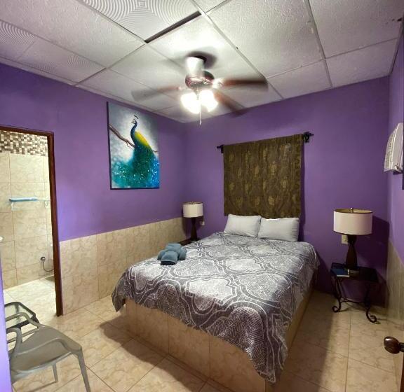 Herberge Windmill Hostal