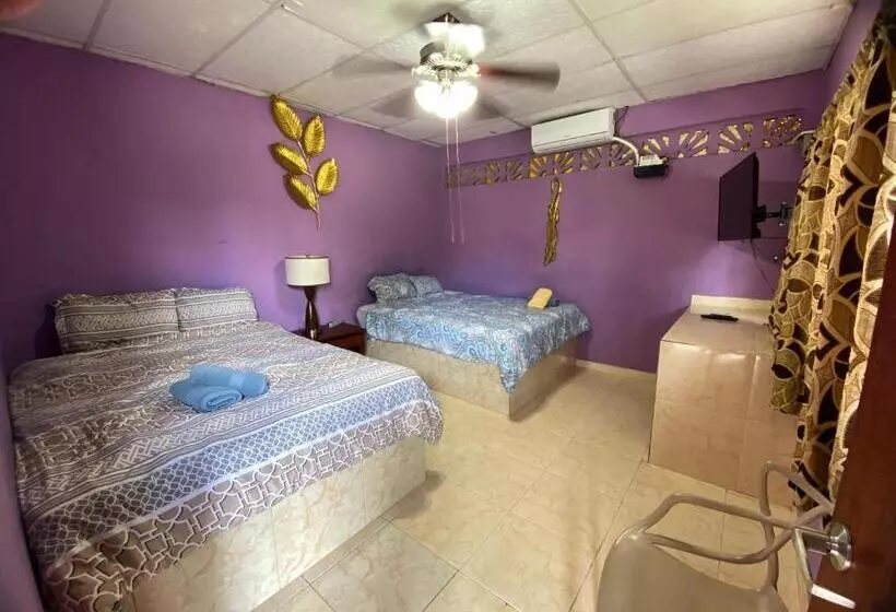 هاستل Windmill Hostal