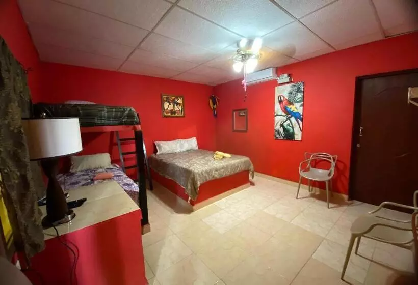 هاستل Windmill Hostal