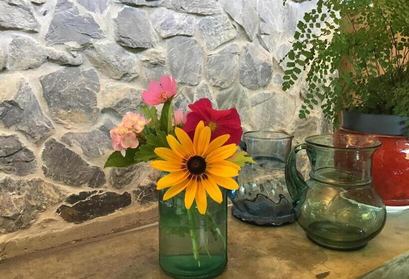 Bed & Breakfast La Atrevida