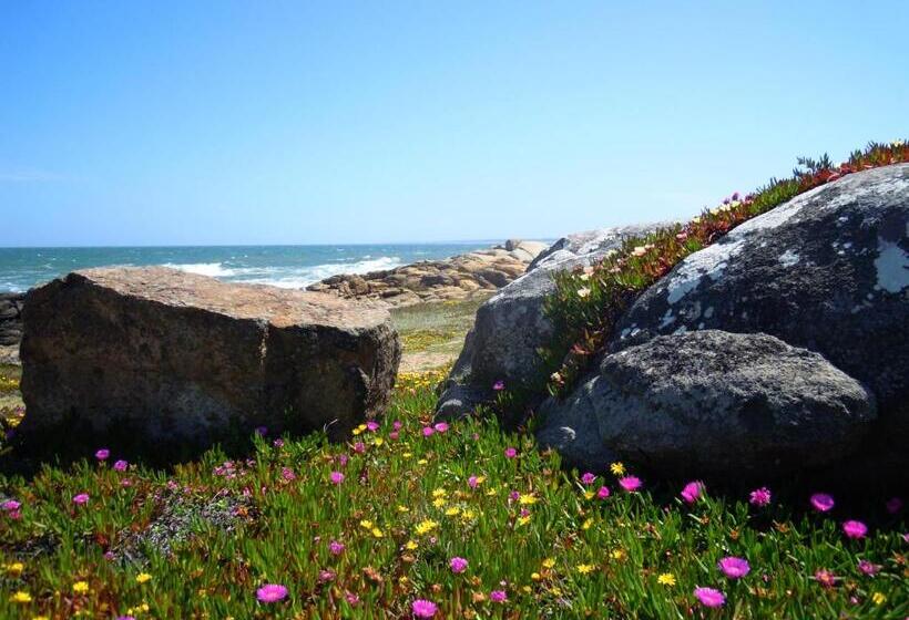 Bed & Breakfast La Atrevida