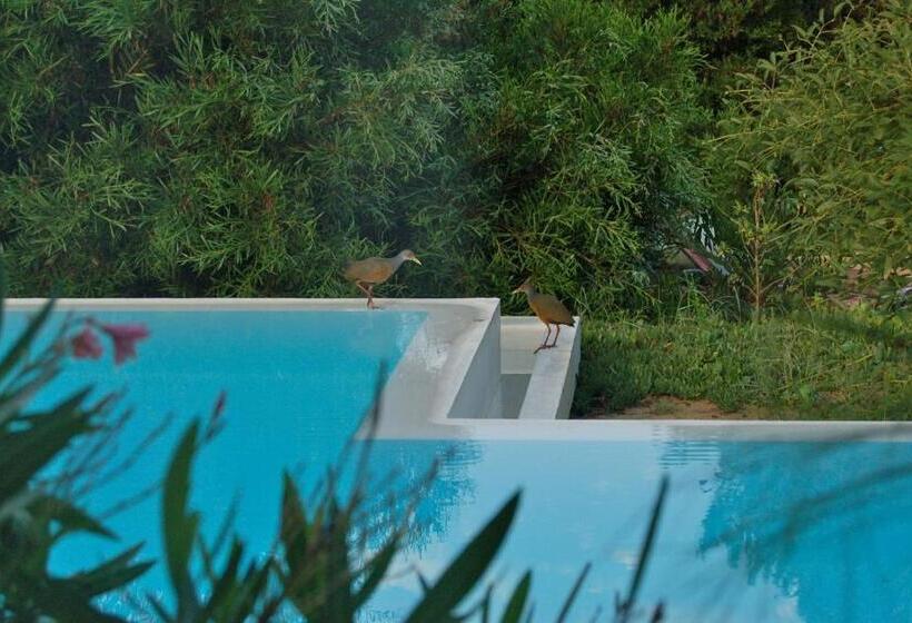 Bed & Breakfast La Atrevida