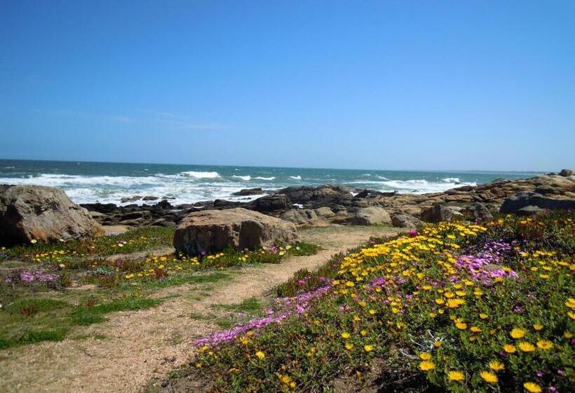 Bed & Breakfast La Atrevida