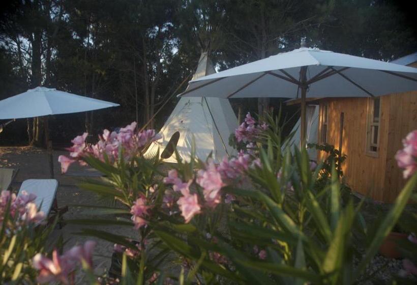 Bed & Breakfast La Atrevida