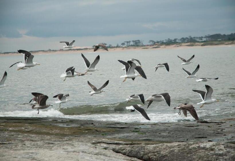 Bed & Breakfast La Atrevida