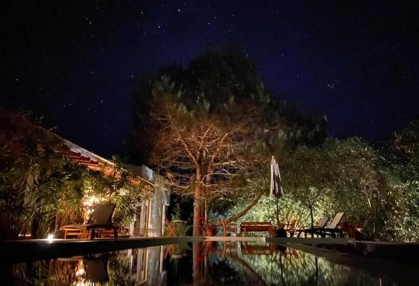 ベッドアンドブレックファースト La Atrevida