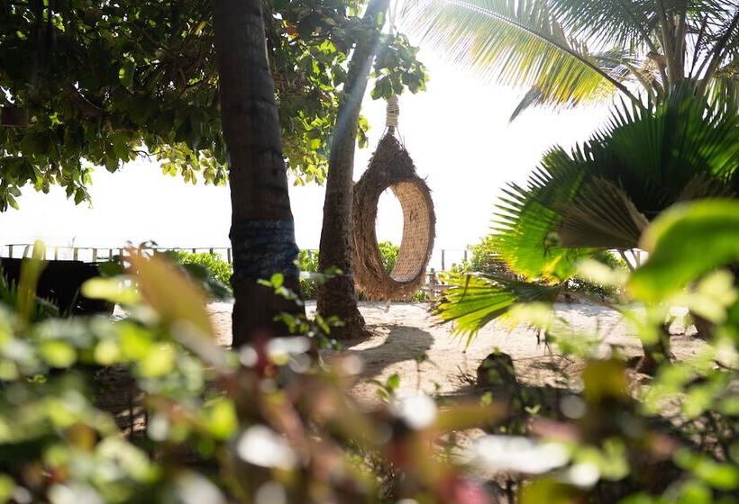 Bed and Breakfast Pili Pili Beach Bungalows