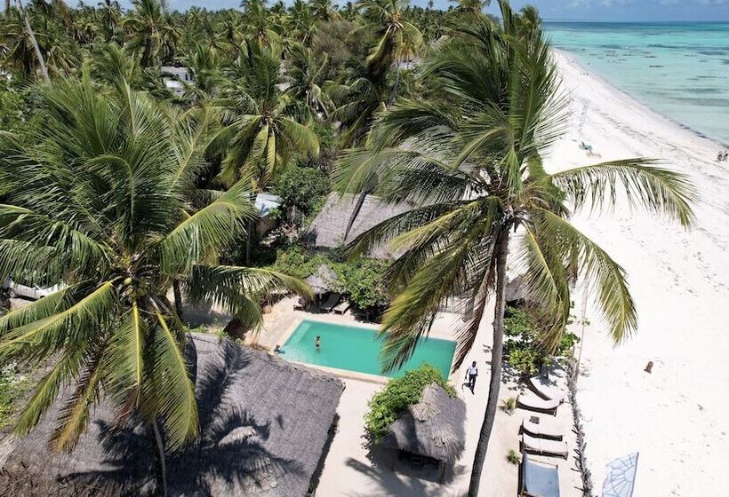 Bed and Breakfast Pili Pili Beach Bungalows