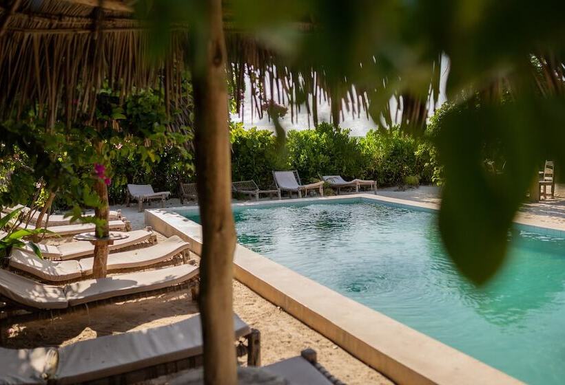 Bed and Breakfast Pili Pili Beach Bungalows