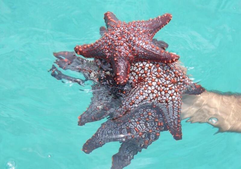 Casa Del Sol Bed And Breakfast