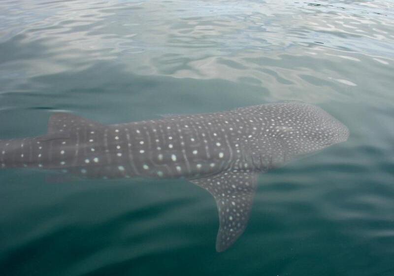 Casa Del Sol Bed And Breakfast