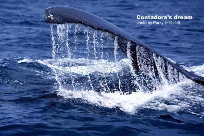 Casa Del Sol Bed And Breakfast