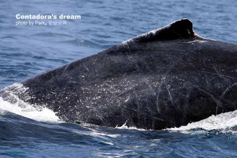 Casa Del Sol Bed And Breakfast