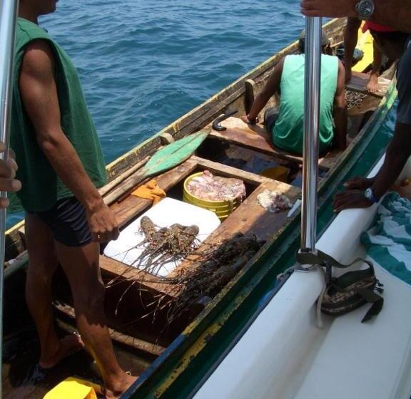 Casa Del Sol Bed And Breakfast