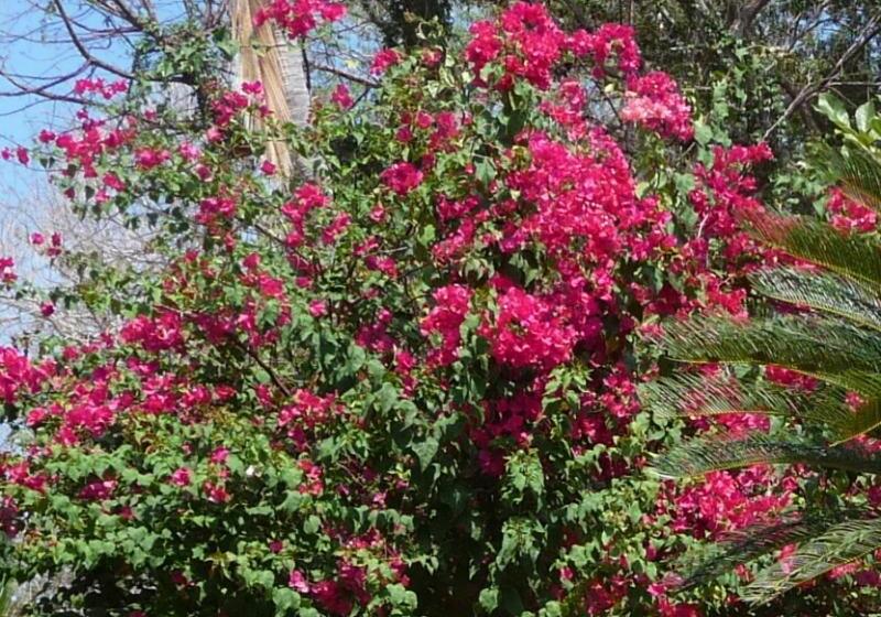 Casa Del Sol Bed And Breakfast