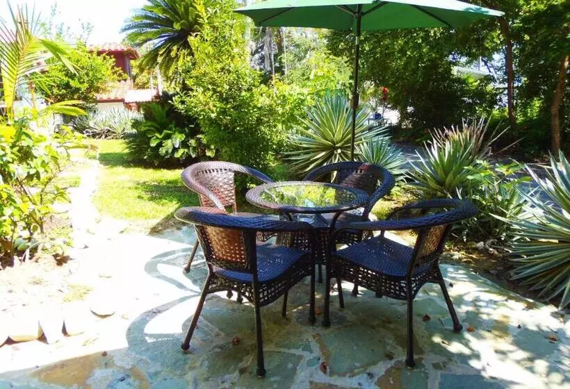 Casa Del Sol Bed And Breakfast