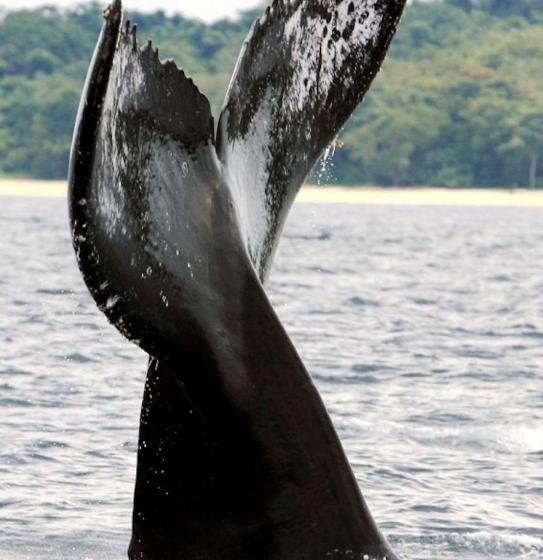 Casa Del Sol Bed And Breakfast