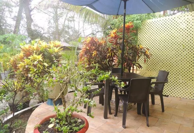 Casa Del Sol Bed And Breakfast
