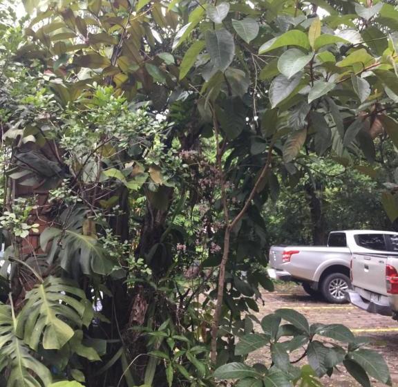 هتل De Campo Apastepe