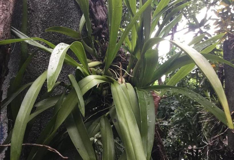 هتل De Campo Apastepe