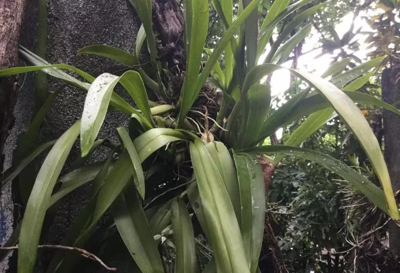 هتل De Campo Apastepe