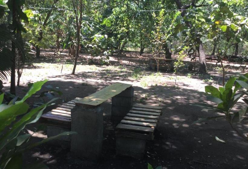 هتل De Campo Apastepe