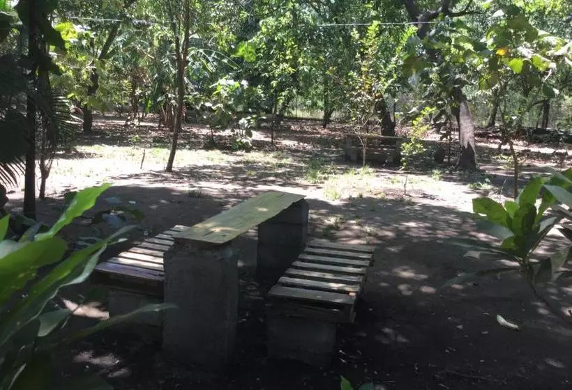 هتل De Campo Apastepe