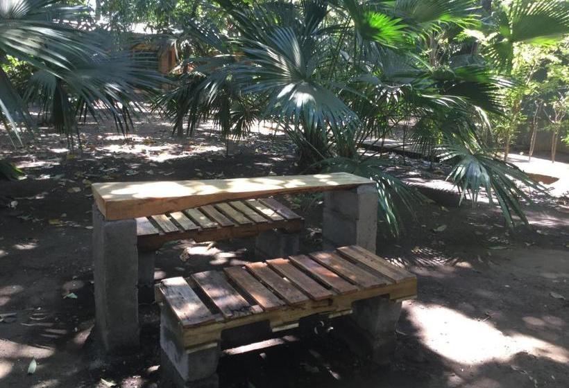 هتل De Campo Apastepe