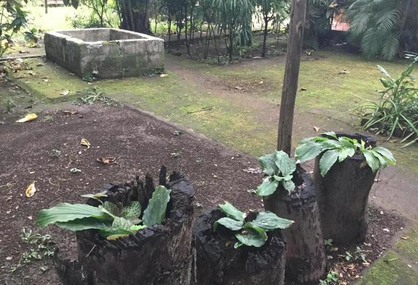 هتل De Campo Apastepe