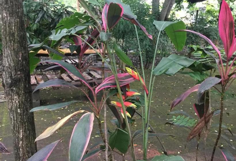 هتل De Campo Apastepe