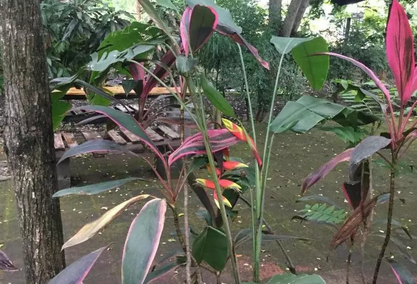 هتل De Campo Apastepe