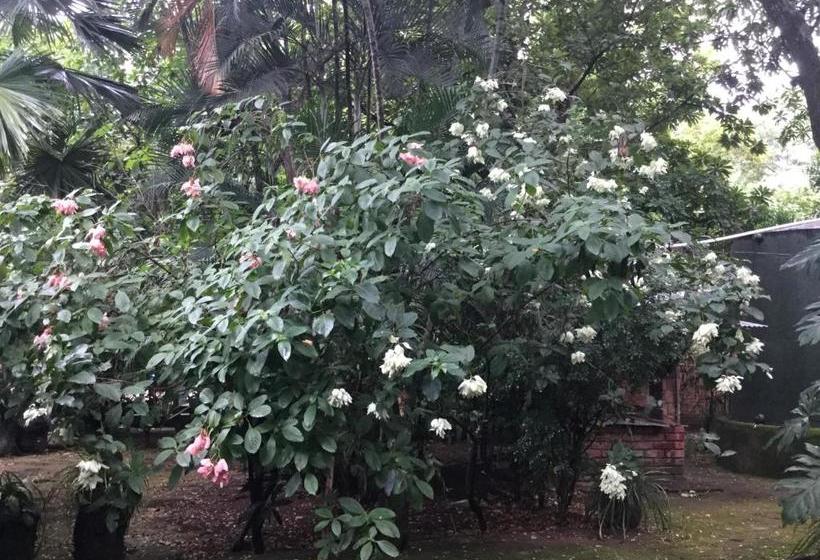 هتل De Campo Apastepe