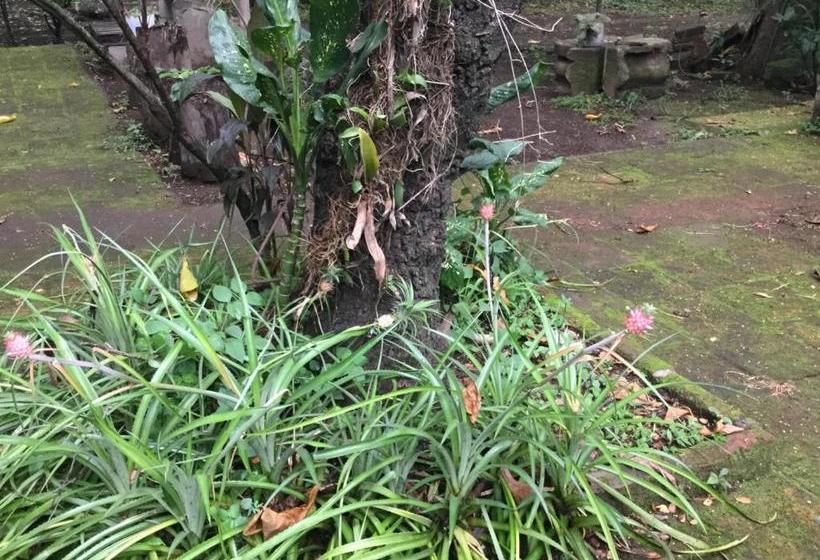 هتل De Campo Apastepe