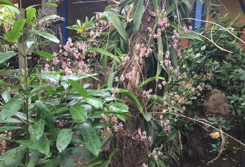 هتل De Campo Apastepe