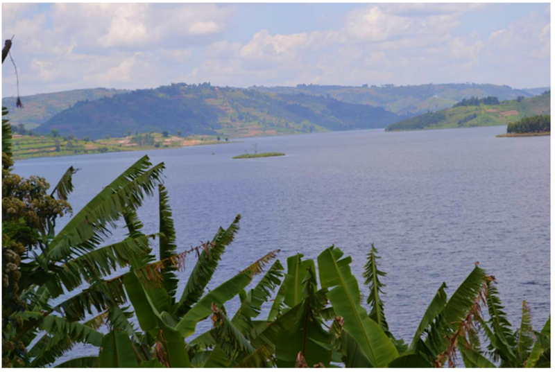 هتل Bugombe Gateway Camp