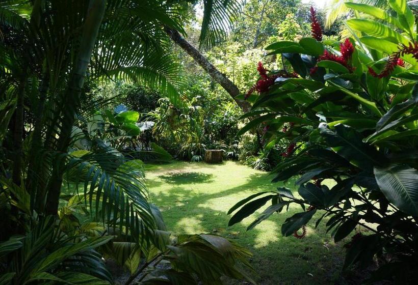 בית מלון כפרי Casa Guardia Panama