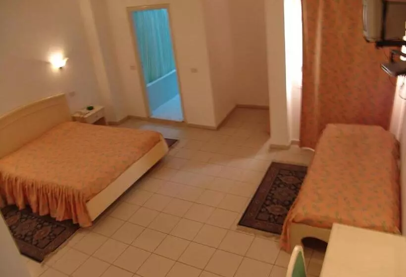 هتل Hôtel Medina
