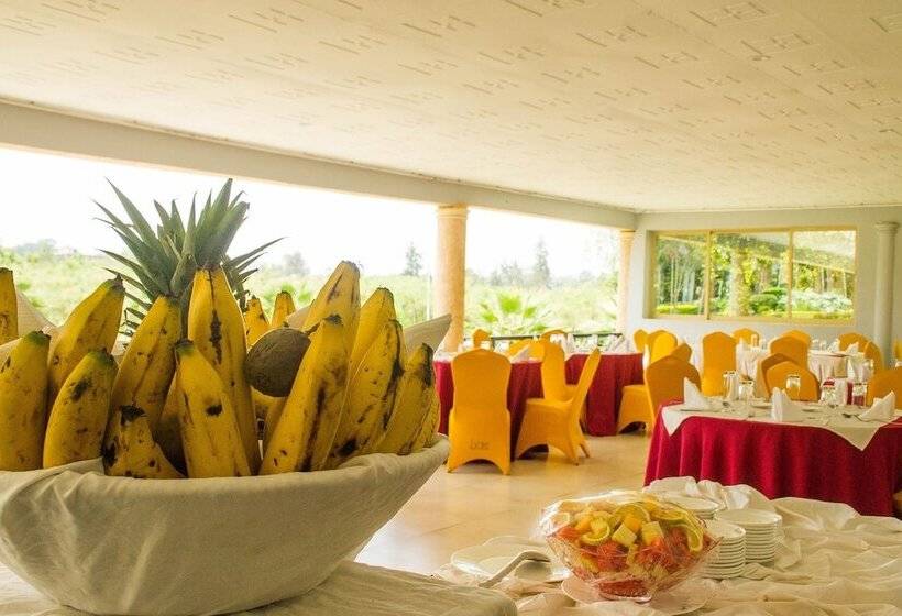 בית מלון כפרי Lake View Resort