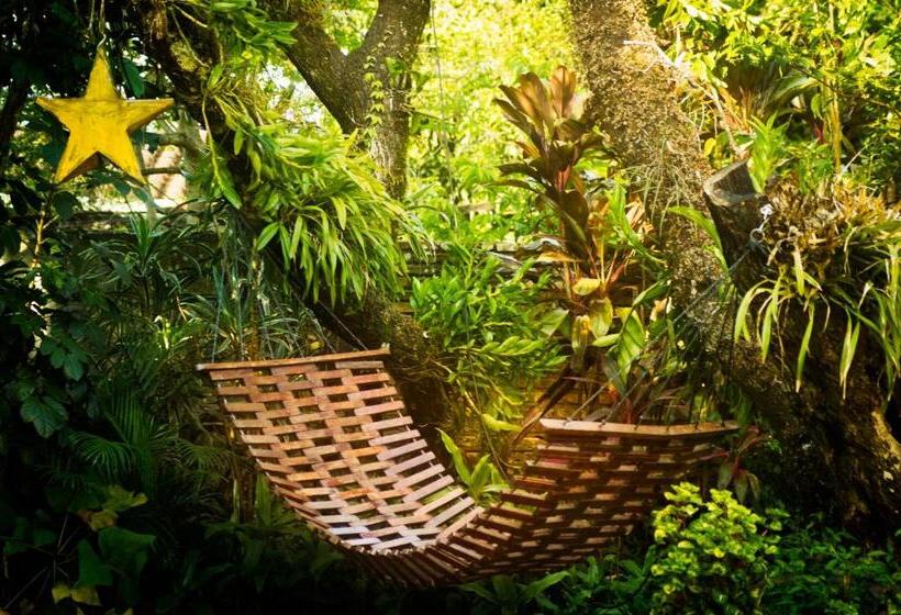 هتل Las Orquideas Parque