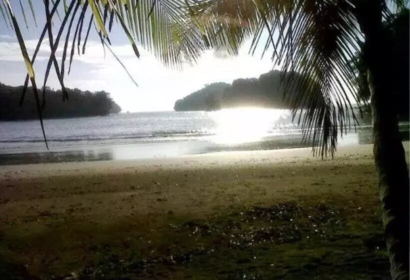 ホテル Pacific Bay Resort