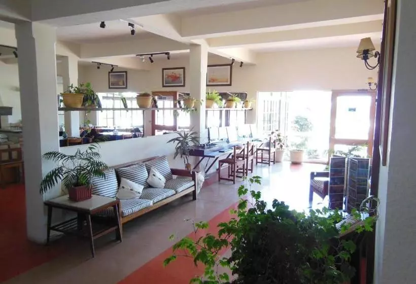 Hotel Viola