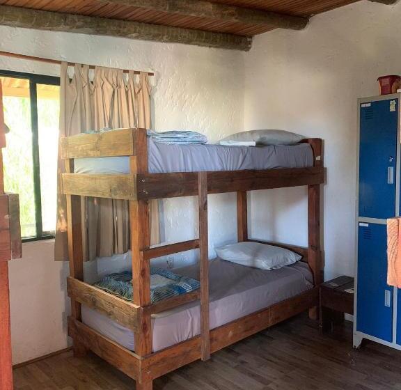 Piedra Alta Hostel & Suites