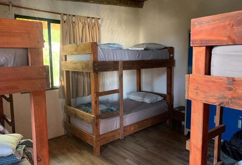 Piedra Alta Hostel & Suites