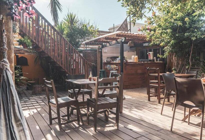 Piedra Alta Hostel & Suites